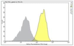 CD31/PECAM-1.3 Mouse anti-Canine, Human, MilliporeSigma 25 &mu;g;Unconjugated:Antibodies,